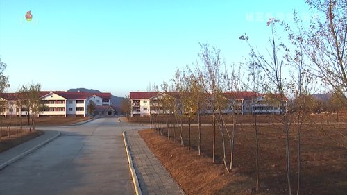 Fig12_Sepho_KCTV-2020-11-26-0001.TS00054_41-image11