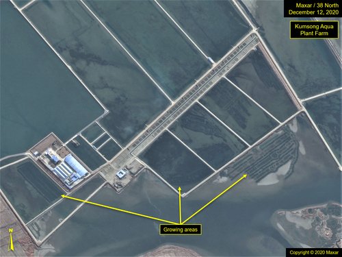 Fig14_Tidelands-21-1222_20-1212_52-image13