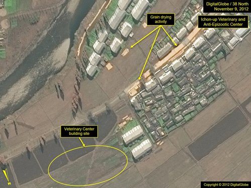 Fig15_Sepho_12-1109-DG_ichon_41-image14