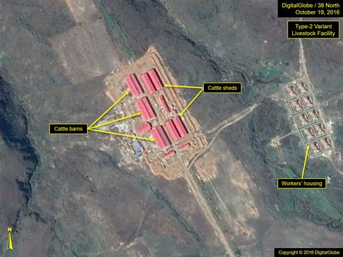 Fig17_Sepho_16-1019-DG_type-2_41-image16