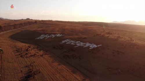 Fig22_Sepho_KCTV-2020-11_41-image21