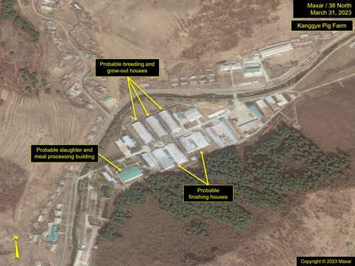 Fig3 Kanggye Pig 23 0331 MAX