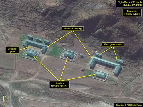 Fig3_Sepho_16-1027-DG_type-1_41-image2