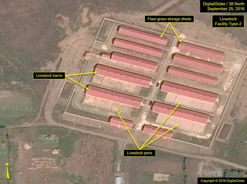 Fig4_Sepho_16-0925-DG_type-2_41-image3