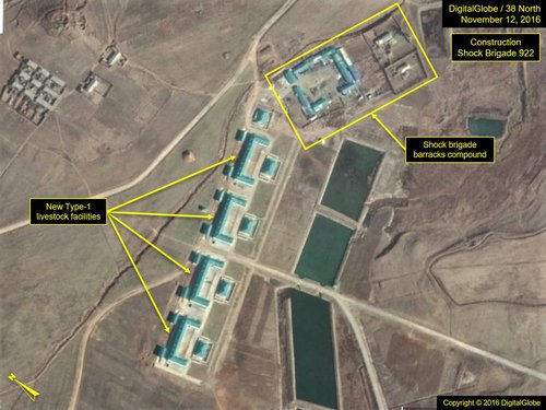 Fig5_Sepho_16-1112-DG_shock-brigade-922_41-image4