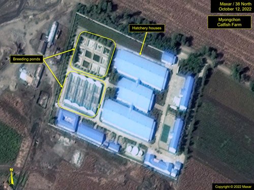 Fig6 Myongchon Catfish 22 1012 MAX