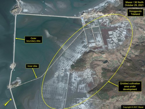 Fig6_Tidelands-21-1222_21-1029-MAX_c_52-image5