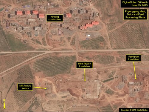 Fig8_Sepho_15-0619-DG_phyonggang-complex_41-image7