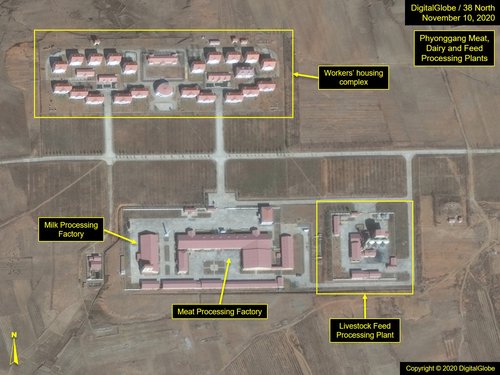 Fig9_Sepho_20-1110-DG_phyonggang-complex_41-image8