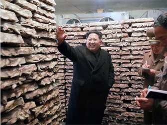 Kim-Jun-Un-in-the-Freezer-Facility-Rodong-Sinmun-2015-11-25_4-image9
