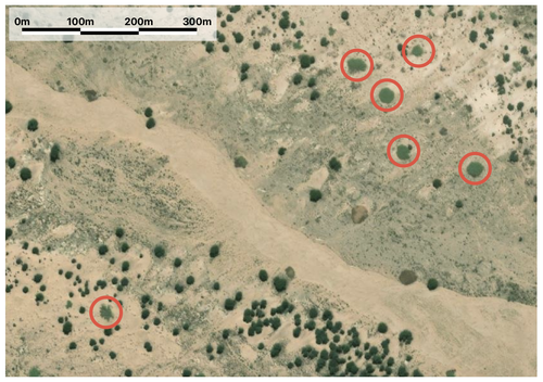 Image with marked !nara