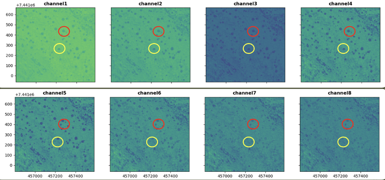 Image showing eight bands of image analysis