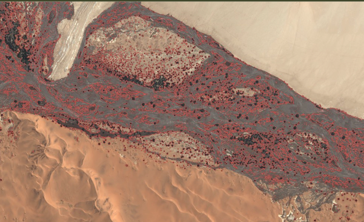 Segmentation via OpenCV produced images that could be analyzed