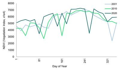 jiangxi_ndvi_avg_chart-3_48-image6